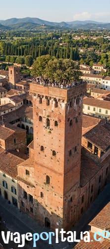 Qué ver y hacer en Lucca: La joya amurallada del espíritu toscano 3 Torre Guinigi